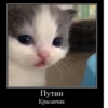 Hehe :: 11