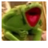 Kermit the Frog 11