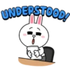 UNDERSTOOD! ३