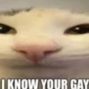 homophobic animals 12