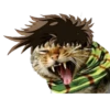 jojocats 8