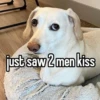 homophobic animals 13