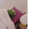 Kermit the Frog 13
