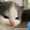 Hehe :: 15
