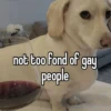 homophobic animals 14