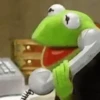 Kermit the Frog 14