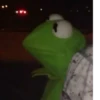 Kermit the Frog 15