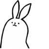 rabbit with beautiful legs 22