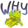 Kermit the Frog 18