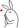 rabbit with beautiful legs 23