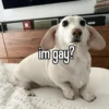 homophobic animals 15