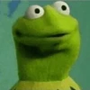 Kermit the Frog 16