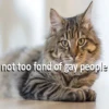 homophobic animals 16