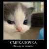 Hehe :: 16