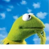 Kermit the Frog 17
