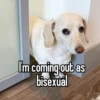 homophobic animals 17