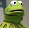 Kermit the Frog 19