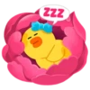 zzz