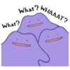 Pokémon: Ditto 14