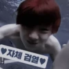 Jeongin ʍood | 24