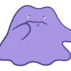 Pokémon: Ditto 15