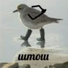 moum EX