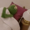 Kermit the Frog 22