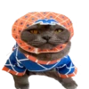 jojocats 10