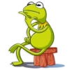 Kermit the Frog 20