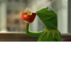 Kermit the Frog 23