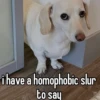 homophobic animals 19