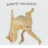 Блять передоз