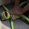 Kermit the Frog 24