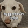 homophobic animals 20