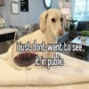 homophobic animals 22