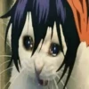 jojocats 11