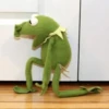 Kermit the Frog 26