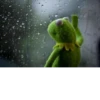Kermit the Frog 28