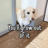 homophobic animals 23