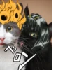 jojocats 13