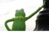 Kermit the Frog 29