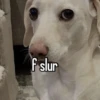 homophobic animals 26