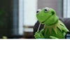 Kermit the Frog 30