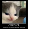 Hehe :: 26