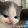 Hehe :: 27