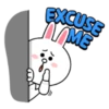 EXCUSE AME