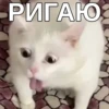 Керил СYпер Мега Very Nice😎 :: 5