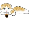 Kittens 8