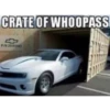 Madi's funny cars 10