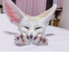 Lisabliat 12